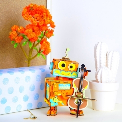 Pozytywka Robot